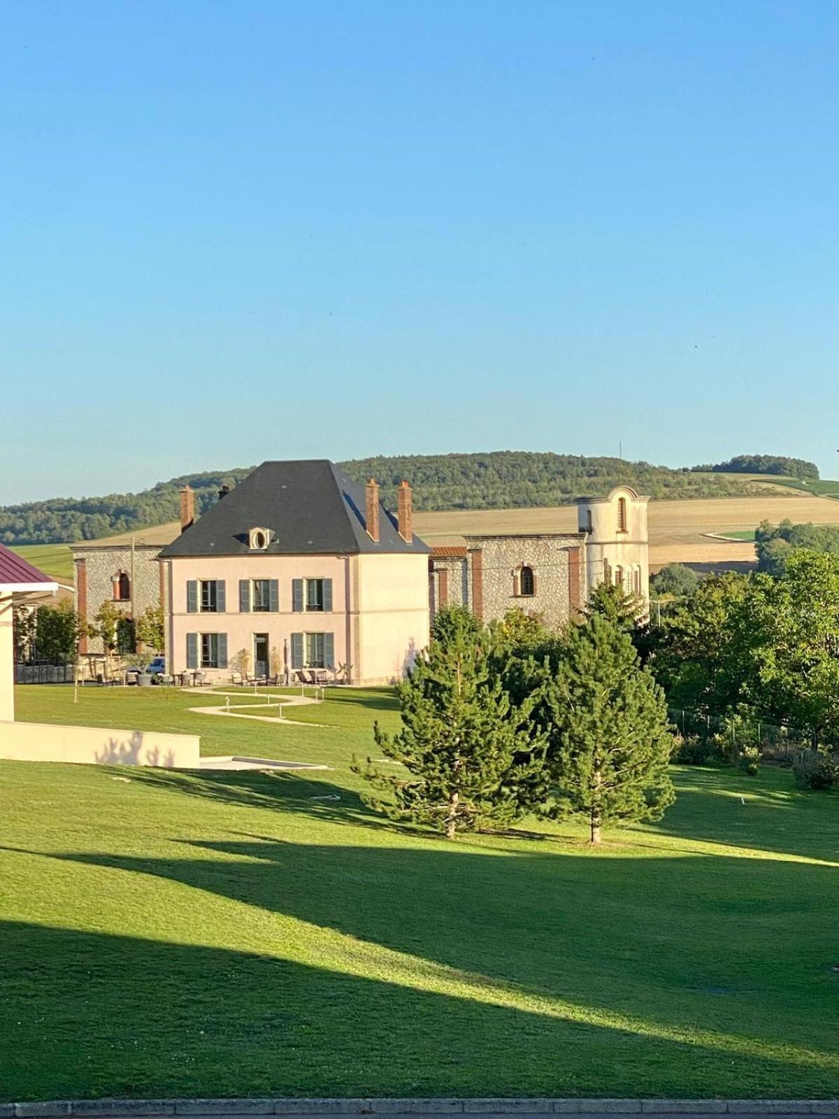 Villa Eulalie - Champagne Edouard Duval B&B Guest House Nestled In The Champagne Area Bligny Exterior foto